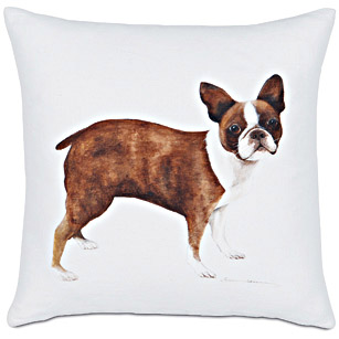 Tenacious Boston Terrier