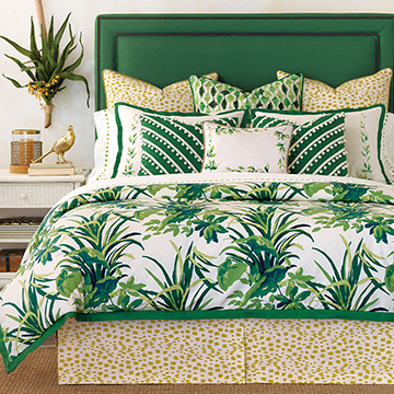 Tropical Dreams