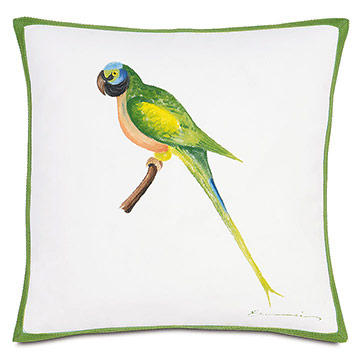 Green Parrot
