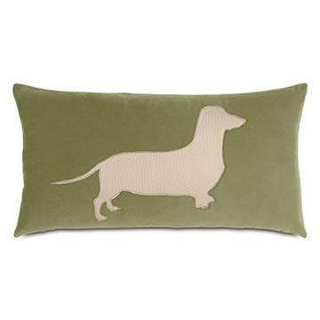 Dachshund in the Grass