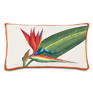 Bird of Paradise