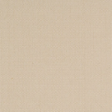 VIVO BISQUE