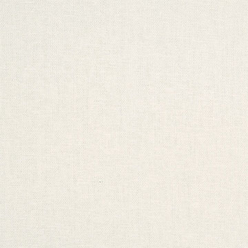FILLY WHITE