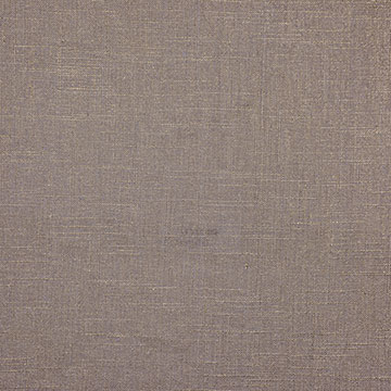 Reflection Taupe