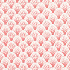 Koopa Coral