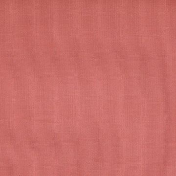 OASIS CORAL