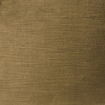 LUCERNE OLIVE