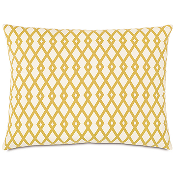 Lattice Gold Standard Sham