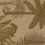 NIKAU RR