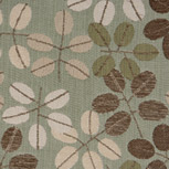 CAMBIUM
