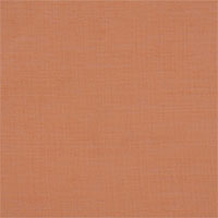 PALAPA RUST