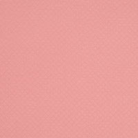BALLET BLUSH