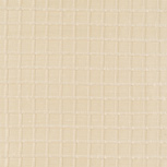 CASIA CREAM