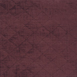 NASARA RAISIN RR