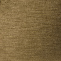 LUCERNE OLIVE
