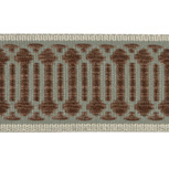 BORDER CAMBIUM