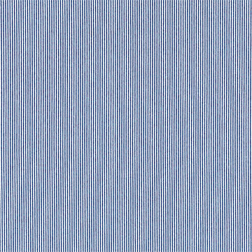 Newton Denim