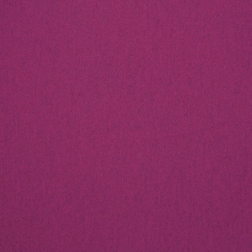 VINCENT RASPBERRY