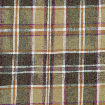 ELGIN OLIVE