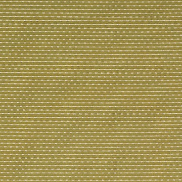 DOTTIE CELERY RR