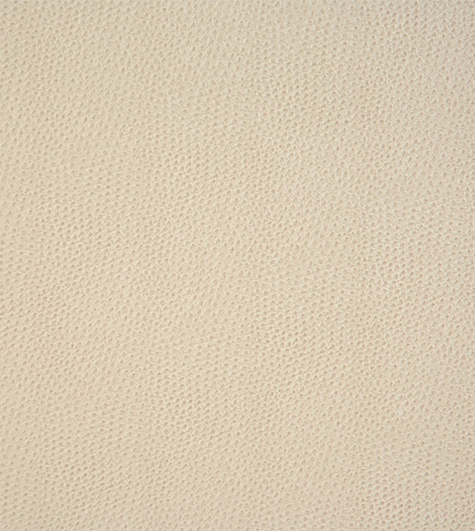 Scarpa Sandstone Swatch Mini